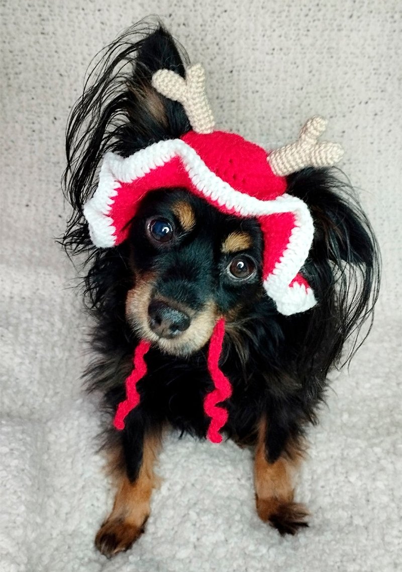 Christmas hat Panama for a dog Hat for a dog Crocheted hat Crochet panama - ชุดสัตว์เลี้ยง - งานปัก สีแดง