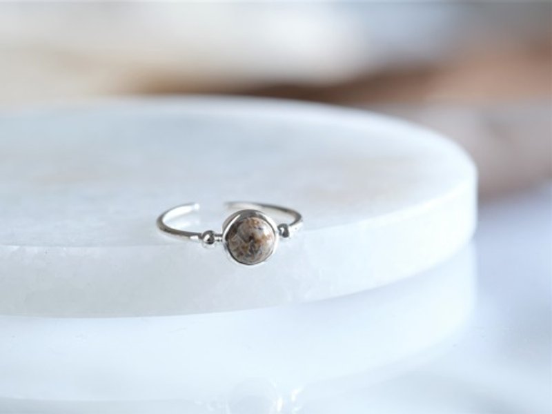 dinosaur born fossil agate _Halda áfram ring　恐竜の化石　シルバーリング - 戒指 - 其他金屬 銀色