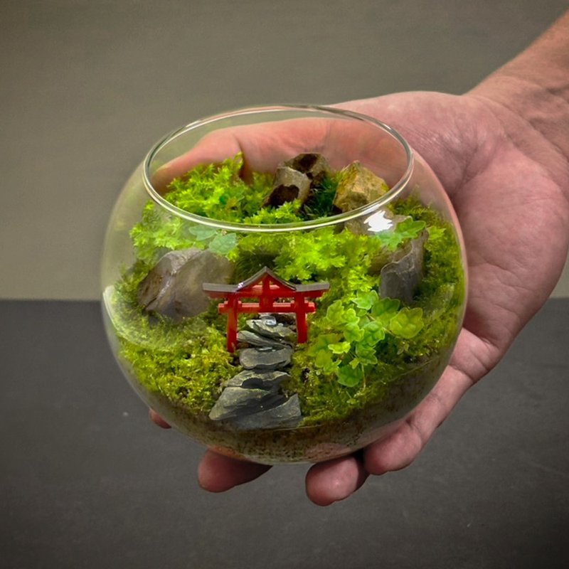 新年送禮推薦 - 初詣之門 / 主題性客製化造景生態缸 - 盆栽/植栽 - 植物．花 
