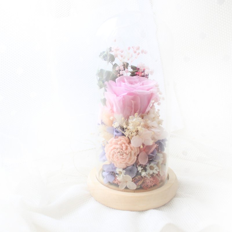 取一手心的小浪漫 。小島森林永生玫瑰玻璃盅 - 乾燥花/永生花 - 植物．花 粉紅色