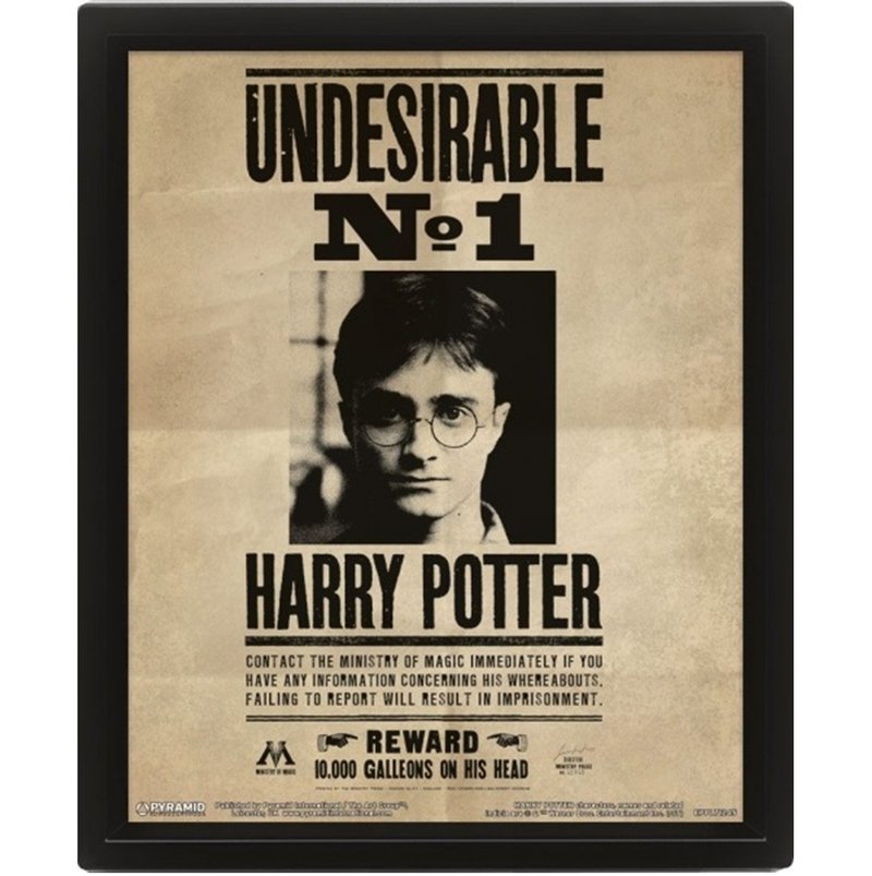 【哈利波特】波特/天狼星通緝令-3D海報含框 Harry Potter/Sirius - 海報/掛畫/掛布 - 其他材質 多色