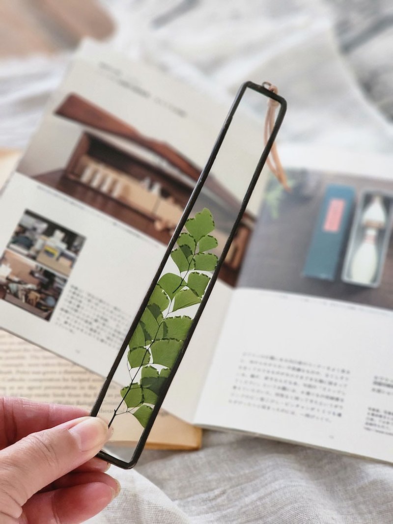植物圖鑑∣美葉鐵線蕨∣玻璃鑲崁∣花草標本書籤 - 書籤 - 植物．花 白色