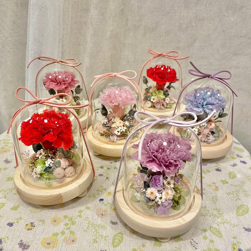 小夢境花藝-母親節花禮 日本永生花大康乃馨 玻璃罩實木底 - 乾燥花/永生花 - 植物．花 白色