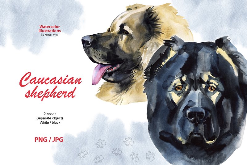 Watercolor dog, Caucasian shepherd breed, fluffy dog clipart, dog breed png - Digital Portraits, Paintings & Illustrations - Other Materials 