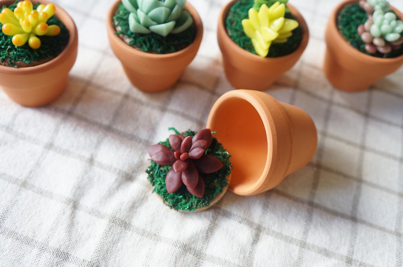 Succulents, small potted office, small resin, clay - Storage - Clay Green