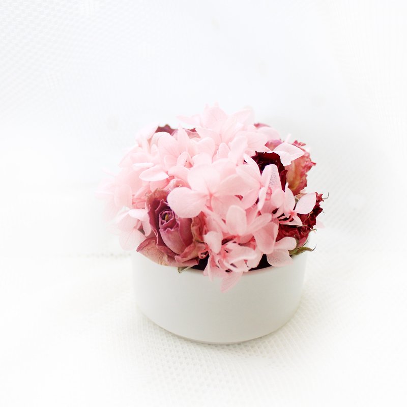 森林精靈迷你桌花・紅玫瑰、木繡球經典乾燥花禮 - 乾花/永生花 - 植物．花 粉紅色