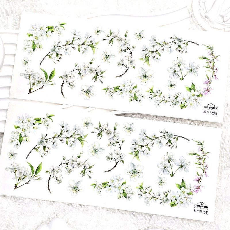 :White Cherry Blossoms: Matte Transparent sticker - 貼紙 - 其他材質 