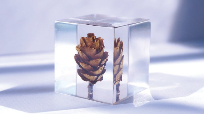 Small pine cones - dried flowers decoration three-dimensional square - Other - Plants & Flowers Brown