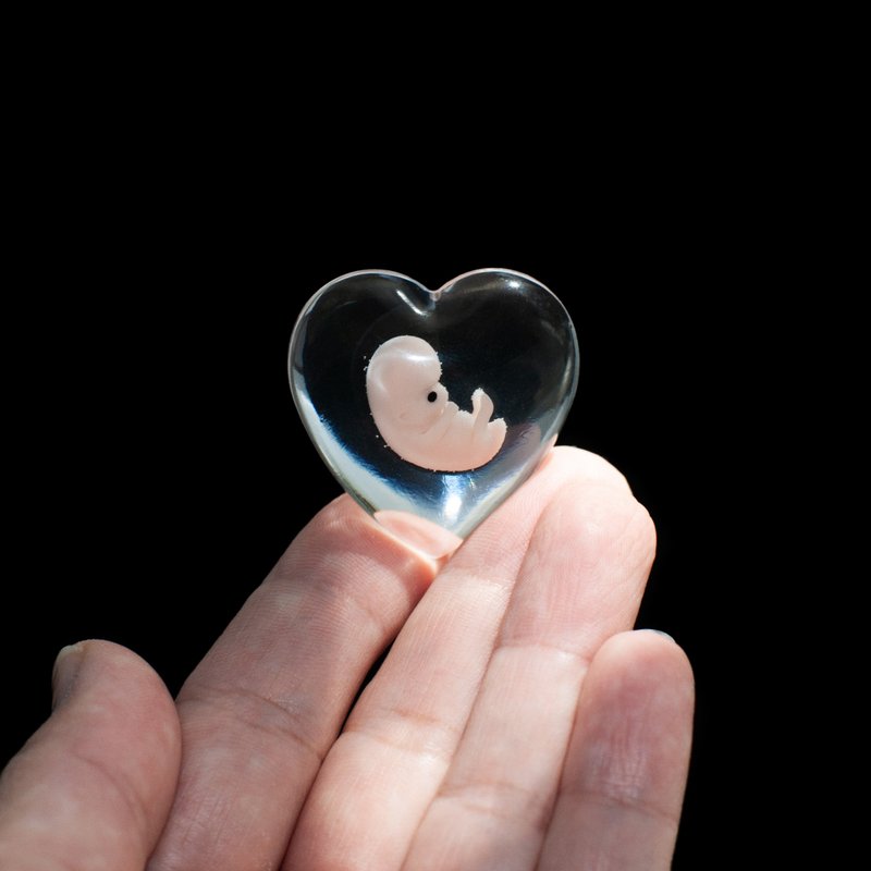 Embryo 7 weeks, 7 weeks pregnant, Sculpture cast in resin - 公仔/玩偶 - 樹脂 