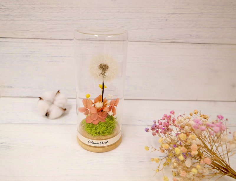 Gift Choice Preserved Dandelion Glass Jar - Ortensia Florist - ช่อดอกไม้แห้ง - พืช/ดอกไม้ ขาว