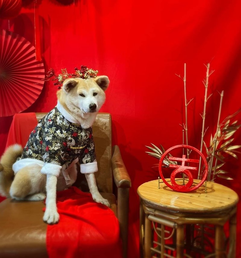 和寶貝一起過年花開吉祥花圈活動 - 戶外/室內活動 - 其他材質 