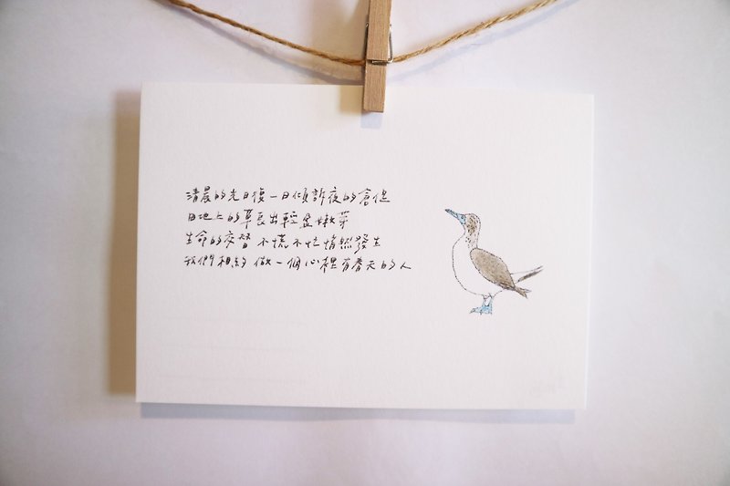 Animals with its poem 65/ Blue footed ostrich / hand-drawn / card postcard - การ์ด/โปสการ์ด - กระดาษ 