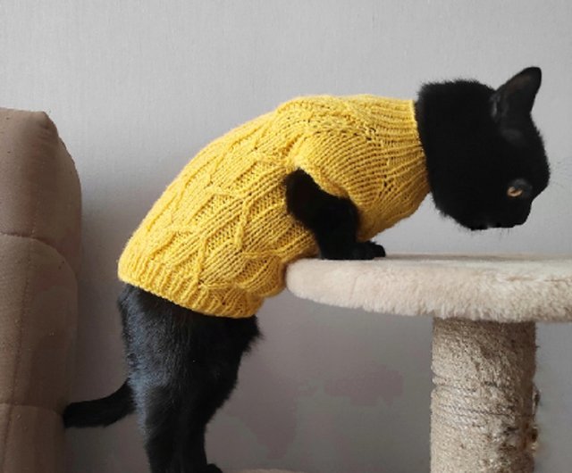 Cat sweater with cable Sphynx cat sweater Handknit pet sweater Cat clothes  - Shop StylishCatDesign Clothing & Accessories - Pinkoi