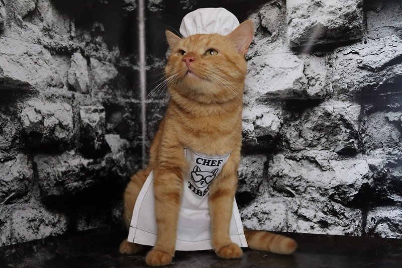 Personalized Embroidered Apron for Cat | Photo Accessories For Pets | Halloween - 寵物衣服 - 棉．麻 白色