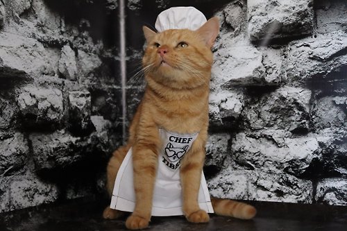RedKing Personalized Embroidered Apron for Cat | Photo Accessories For Pets | Halloween