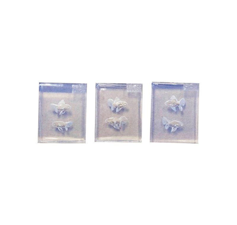 Hand-made small goldfish group super high transparent mold mini Silicone mold three into the group - Other - Silicone 