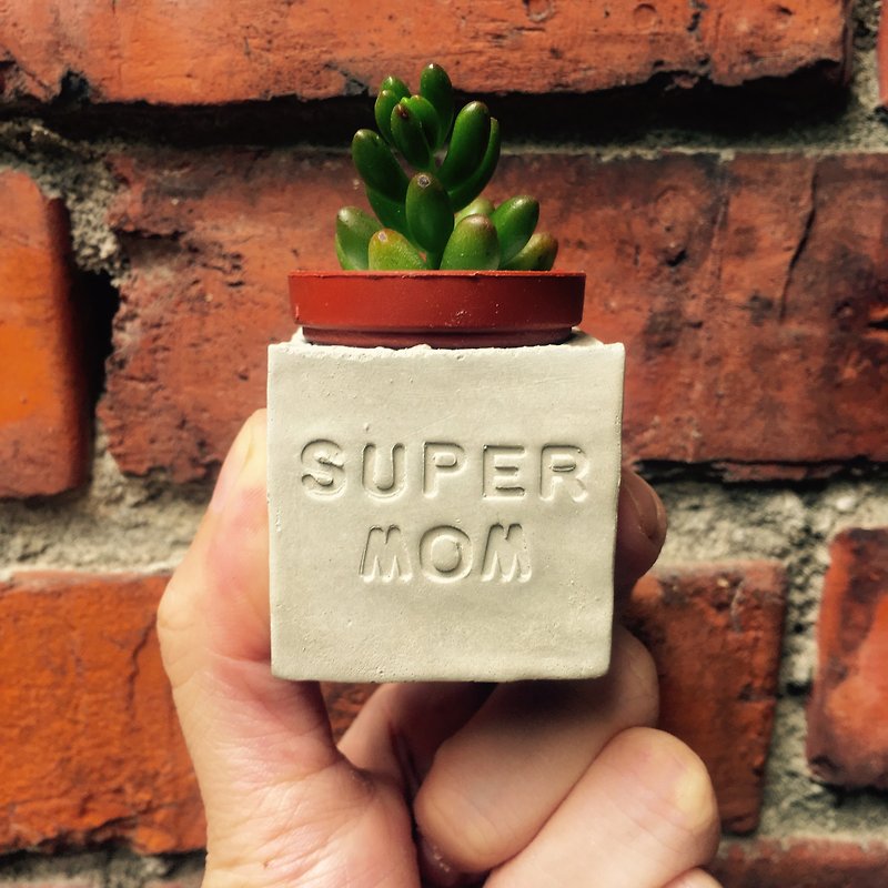 SUPER MOM~!! Superman Mom~!! Mother's Day Succulent Magnet Potted Plant - Plants - Cement Gray