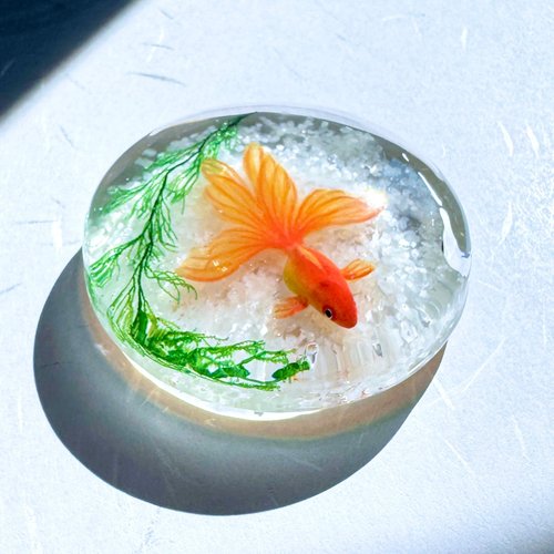 受注制作 ペーパーウェイト 文鎮 金魚 - ショップ 池波屋｜日本の金魚