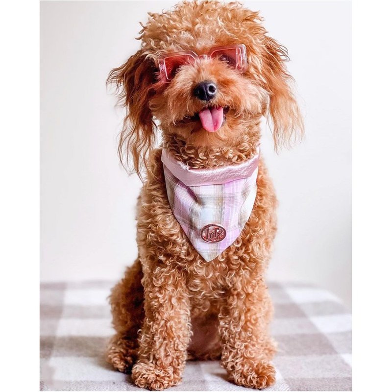 Australian Happy Go Puppy pet scarf-pink plaid-S - Clothing & Accessories - Cotton & Hemp 