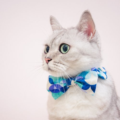 犬貓首輪製作所 蝴蝶結鬆緊項圈 寵物領結 bow tie -- 和紋圈圈 (藍售完)