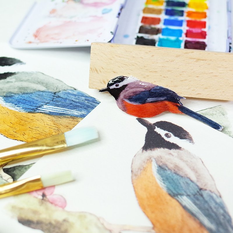 台湾固有種 ミミジロチメドリ ブローチ - ブローチ - 防水素材 多色