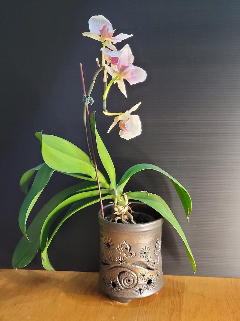 Hollow orchid pot set, hollow orchid decorative pot, hollow orchid pot set, night light lampshade - เซรามิก - ดินเผา 