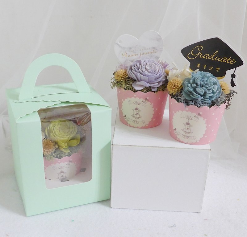Fast shipping Sola Diffusing Cake Flowers | Potted Flowers | Table Flowers | Graduation | Wedding Favors | - ของวางตกแต่ง - พืช/ดอกไม้ หลากหลายสี