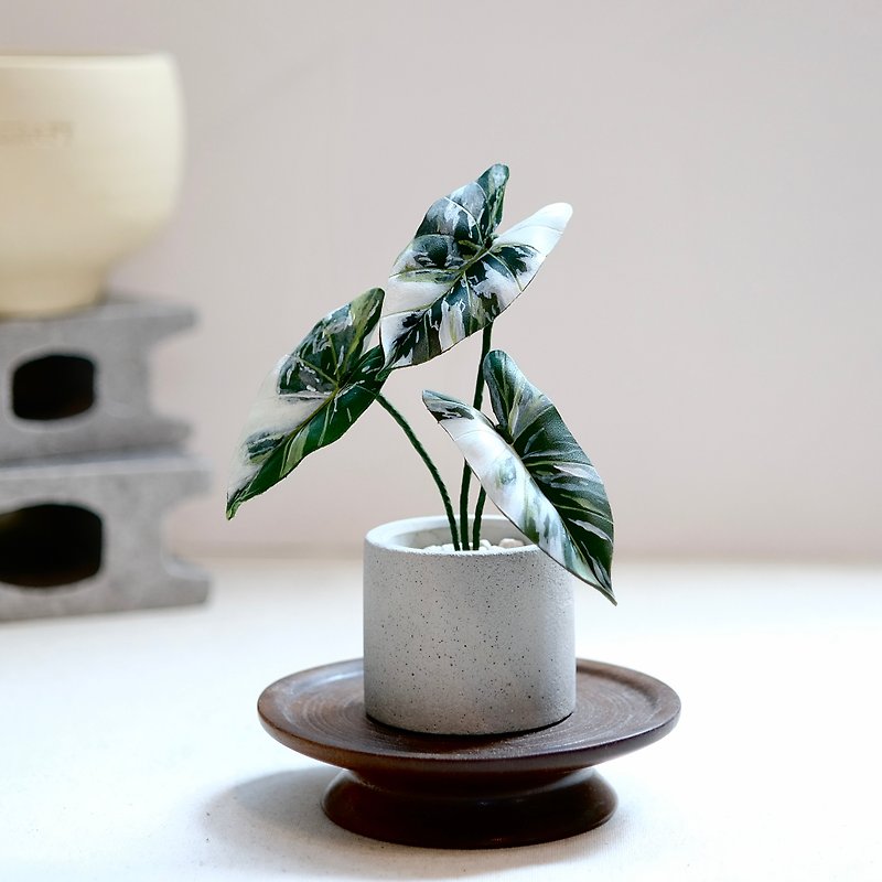 Spotted Velvet Leaf Guanyin-handmade leather small potted plant for gift giving - ตกแต่งต้นไม้ - หนังแท้ 