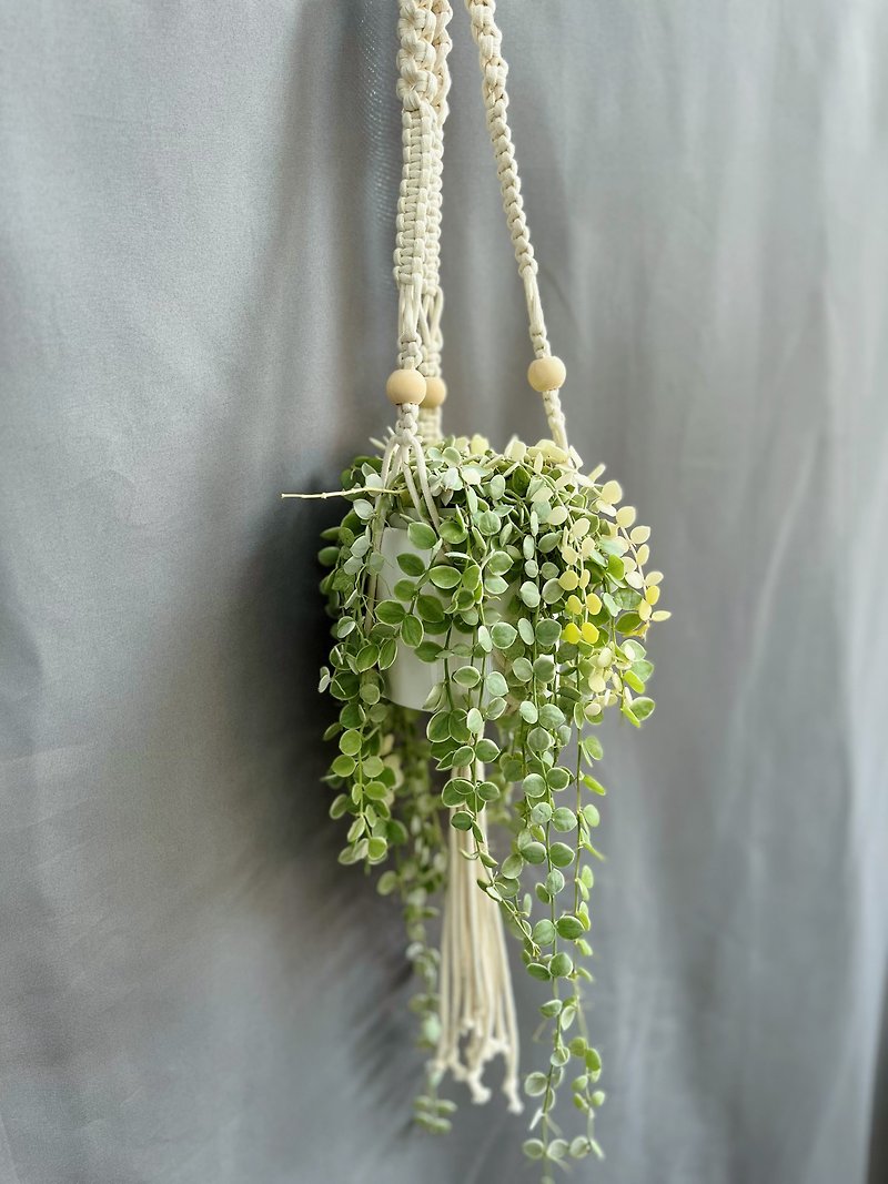3寸小花造型吊缽繩結 - 植栽/盆栽 - 棉．麻 白色