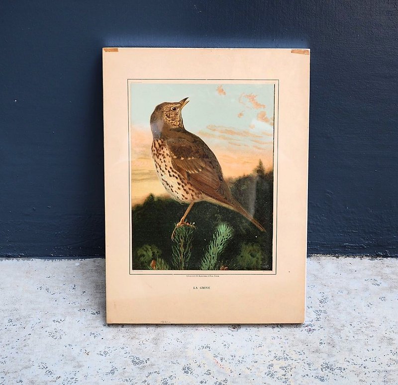 Early bird illustrations, frame wall paintings, framed D - ของวางตกแต่ง - กระดาษ 
