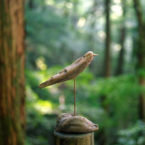 流木の鳥と一緒に世界へ羽ばたきませんか、木製の鳥、鳥の