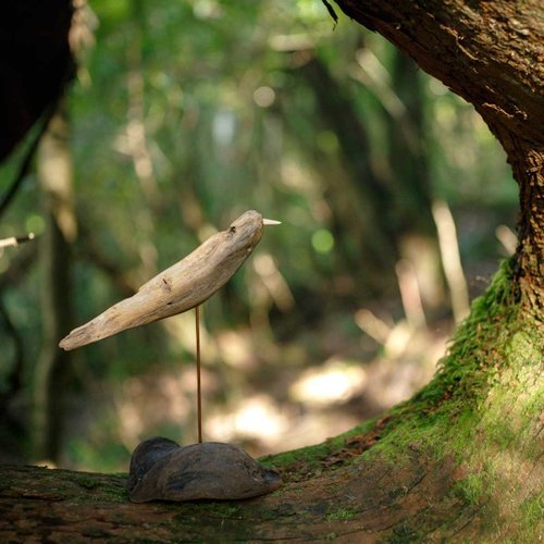 流木の鳥と一緒に世界へ羽ばたきませんか、木製の鳥、鳥の