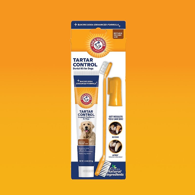 [Arm & Hammer] 3-in-1 dental kit for pet dogs (descaling) - Cleaning & Grooming - Other Materials Orange