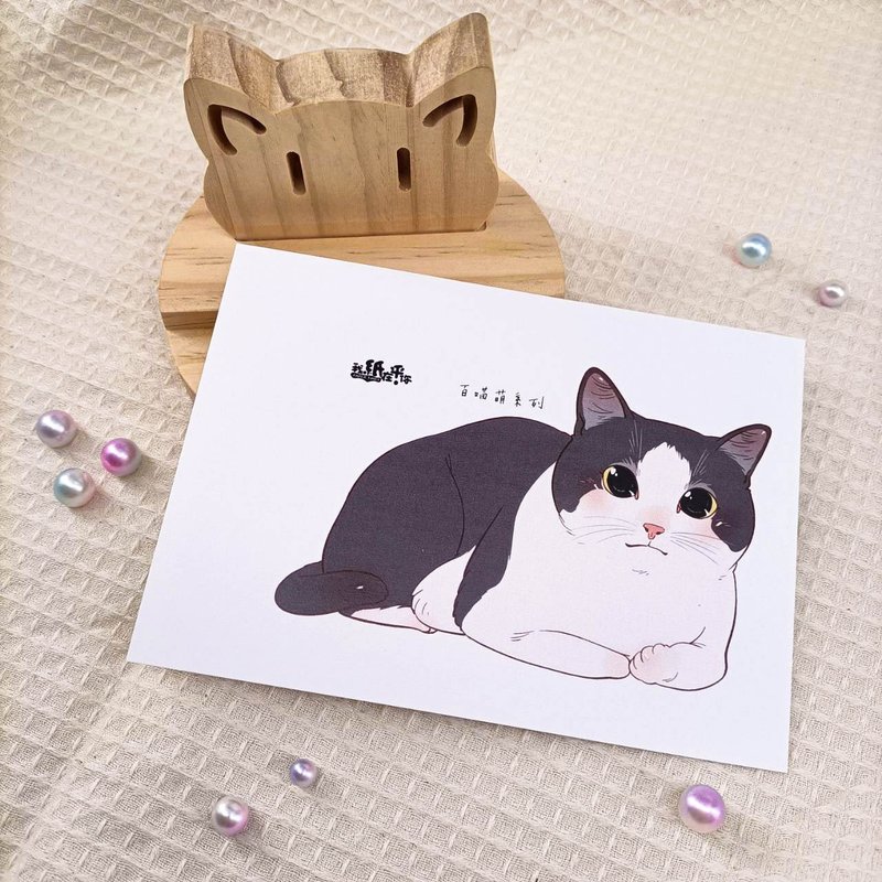ME183-21_我紙在乎你百喵萌明信片_postcard - 卡片/明信片 - 紙 多色