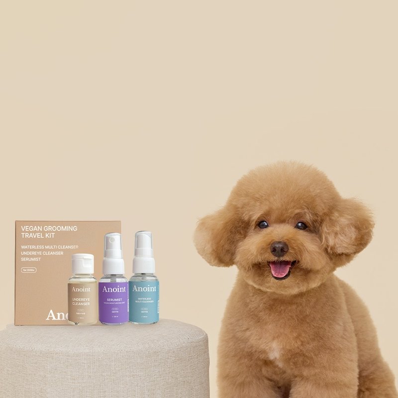 Korea Anoint Dog Vegan Cleaning and Care Travel Set - Cleaning & Grooming - Plastic 