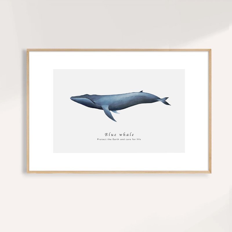 藍鯨 Blue Whale / 海洋動物插畫掛畫 / 藝術無框輸出 - 海報/掛畫/掛布 - 紙 