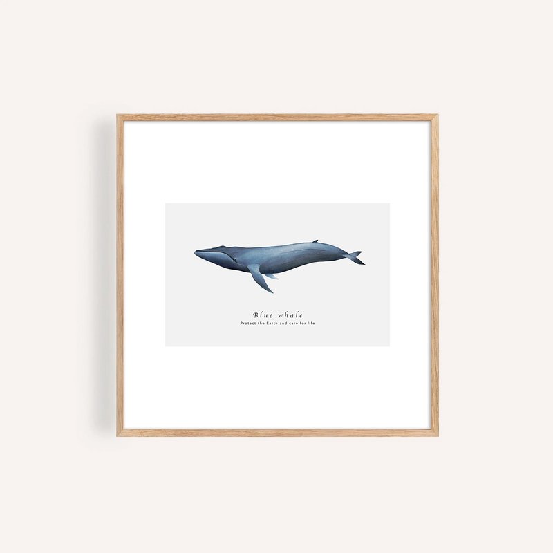 シロナガスクジラ Blue Whale / 海洋動物イラストレーションポスター / アートキャンバスプリント - ポスター・絵 - 紙 