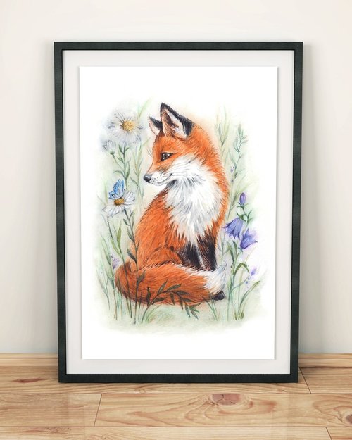 生物細密画（水彩）「シオマネキ」 Nature of Japan 日本のいきもの3 – ネイチャーテクニカラー公式