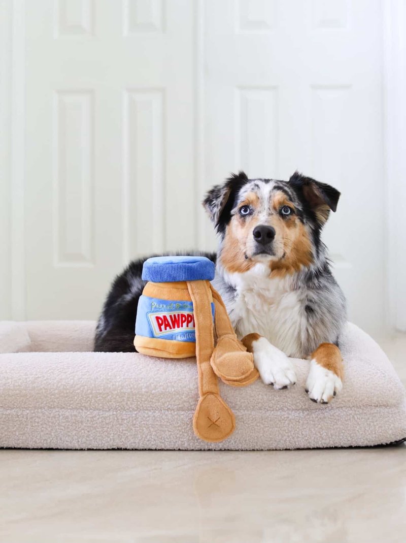 【犬用おもちゃ】CHEWFFON 香り豊かなピーナッツ - おもちゃ - その他の素材 