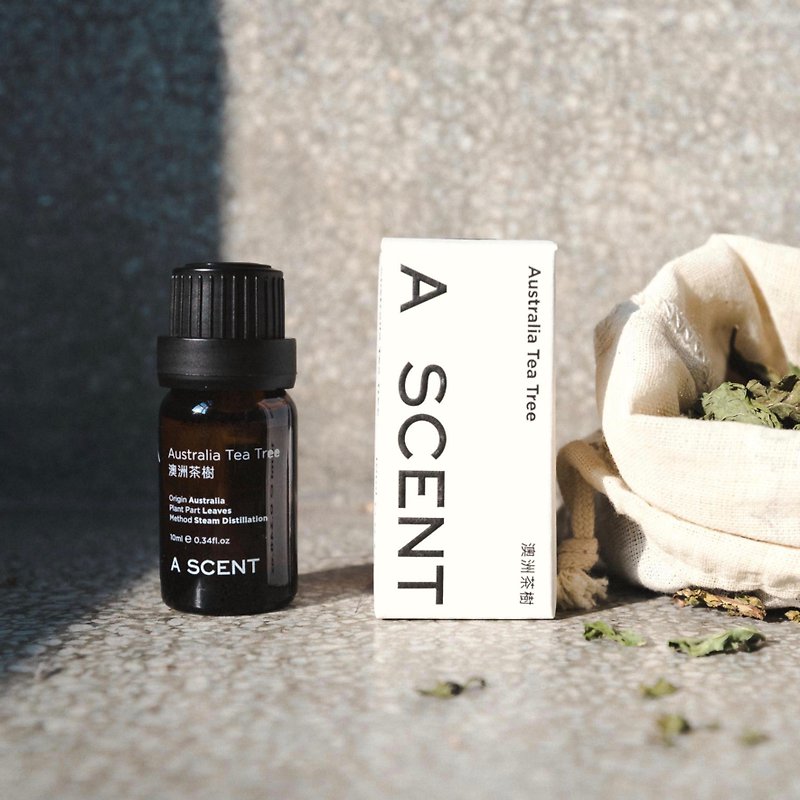 ascentorganics-Australian Tea Tree Essential Oil 10ml (Send Your House Fragrance Stone) - น้ำหอม - วัสดุอื่นๆ 