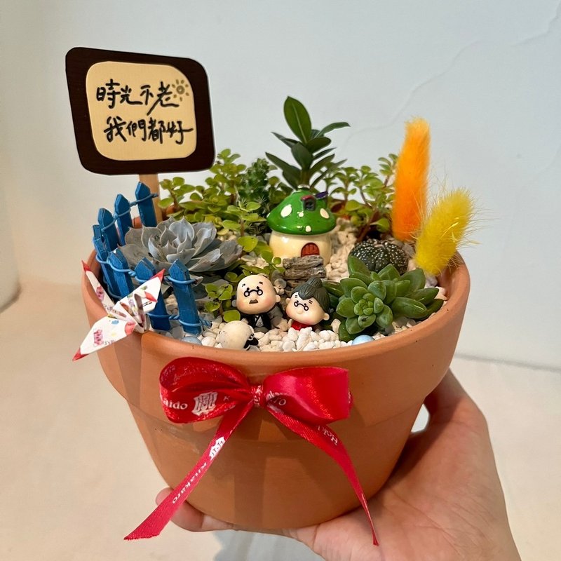 多肉組盆 多肉植物 枯山水 微景觀 景觀盆栽 生日禮物 客製化訂單 - 盆栽/植栽 - 植物．花 綠色