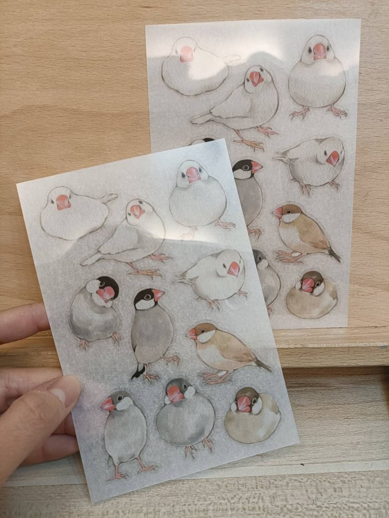 轉印貼紙(小雪球/文鳥)二入一組 - 貼紙 - 紙 多色