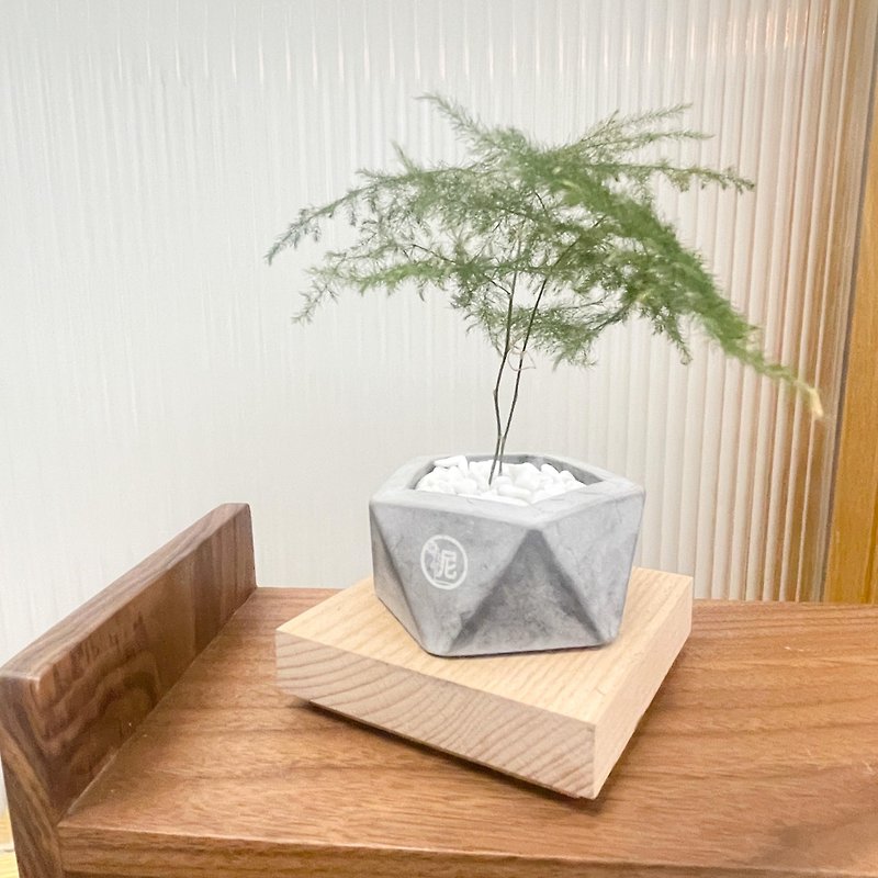 [Experience] Cement Mini Plant Corner Pot Workshop Handmade Workshop Anniversary Birthday - Other - Cement 
