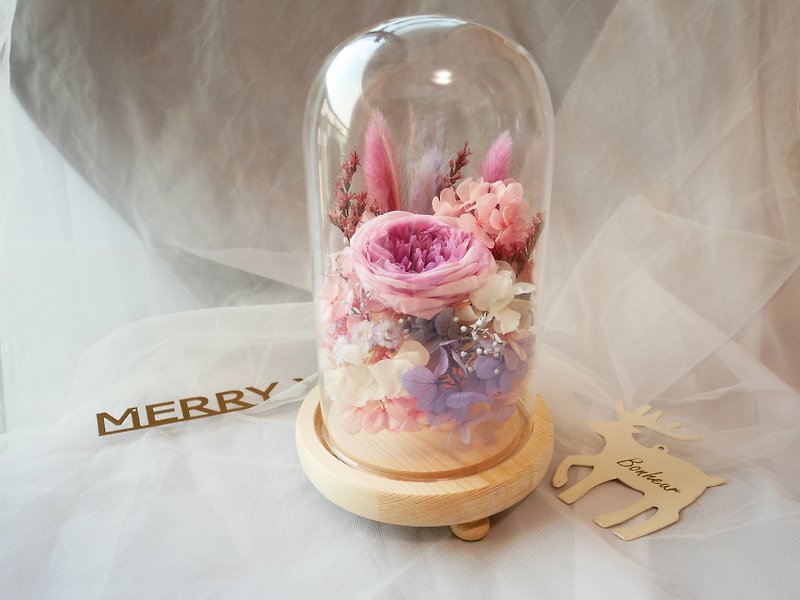 Flower Daily Beauty and Beast Glass Cover Eternal Flower Gift / Christmas Gift / Exchange Gift - ของวางตกแต่ง - พืช/ดอกไม้ 