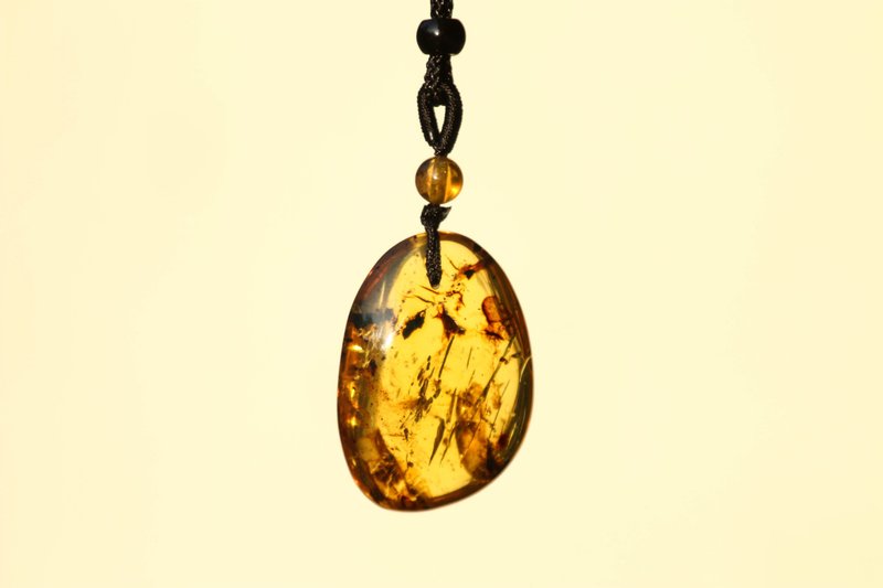 【Series of Amber】Burmese amber organic shape pendant 6 - Necklaces - Gemstone Multicolor