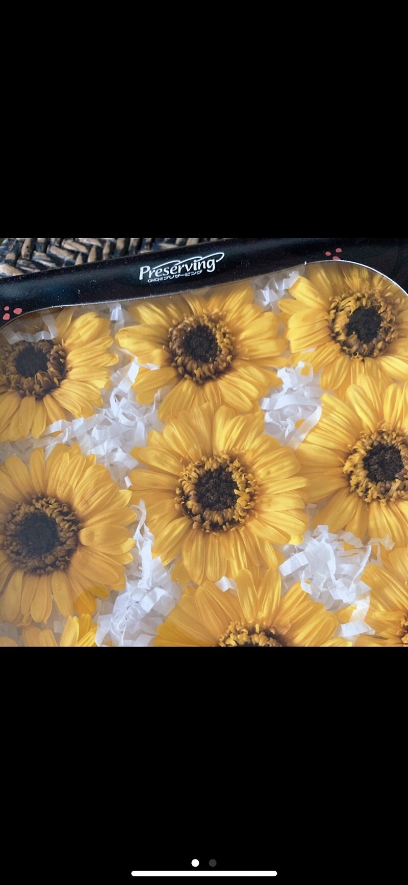 Custom Sunflower Cup - Dried Flowers & Bouquets - Plants & Flowers Orange