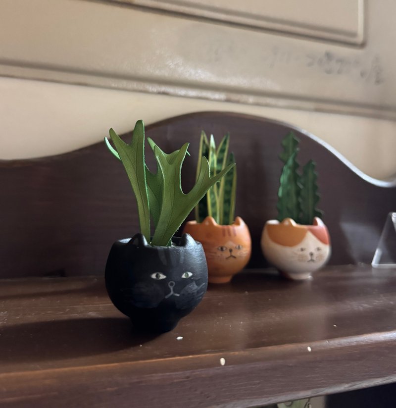 厭世貓之-黑貓鹿角蕨盆栽 - 盆栽/植栽 - 真皮 