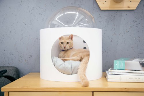 ✨️美品✨️マイズー MYZOO マイズー 宇宙船 GAMMA 猫用ベッド MYZOO マイズー 宇宙船GAMMA キャットハウス 木製 ドーム 壁