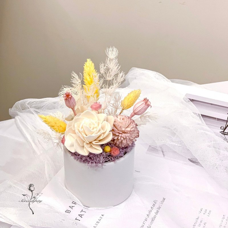 漫心擴香花小桌花 - 乾燥花/永生花 - 植物．花 
