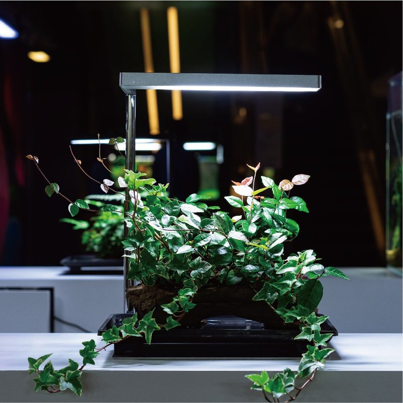 Flat Nano Full Spectrum LED Grow Light Minimalist Silver Indoor Plant Office Planting - Lighting - Other Metals Gray